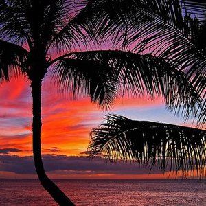 Meet your Posher, Martha